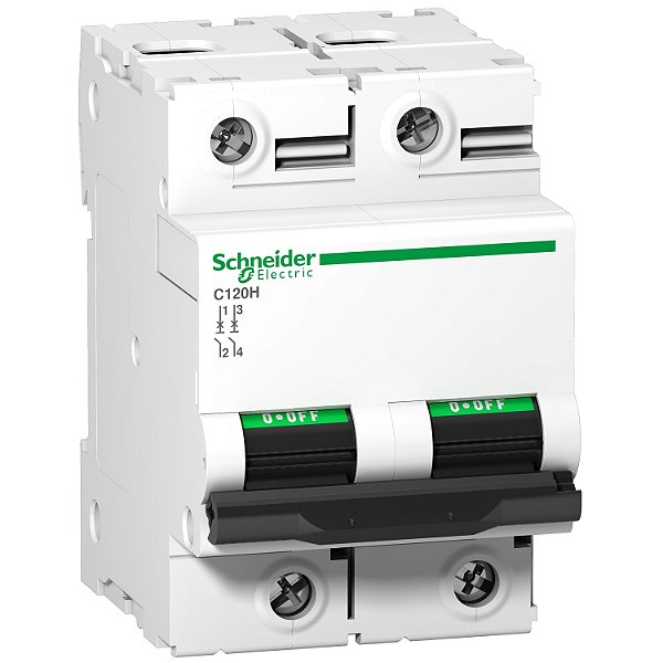 Disjuntor C120H 2P Curva C 125A 440V A9N18459 SCHNEIDER