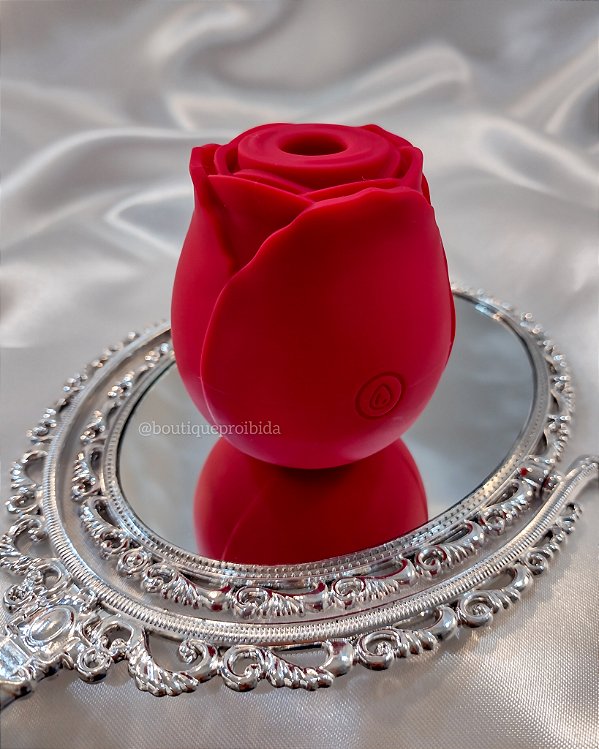 Rosa Sugador de Clitóris Recarregável