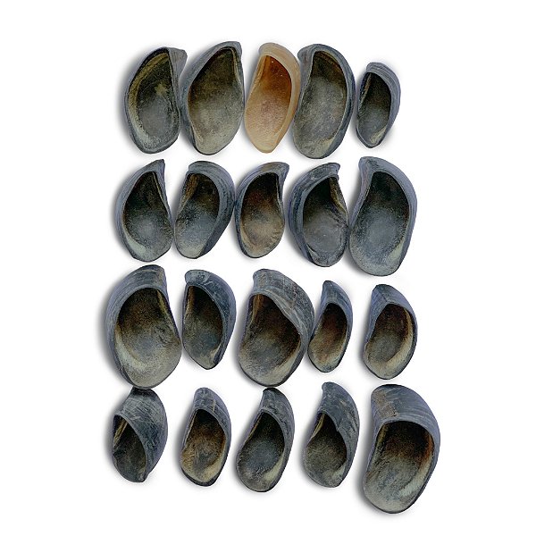 Kit 24 Cascos Bovinos - Luv