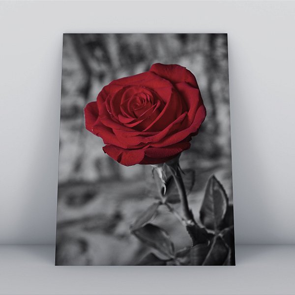 Quadro Canvas The Rose