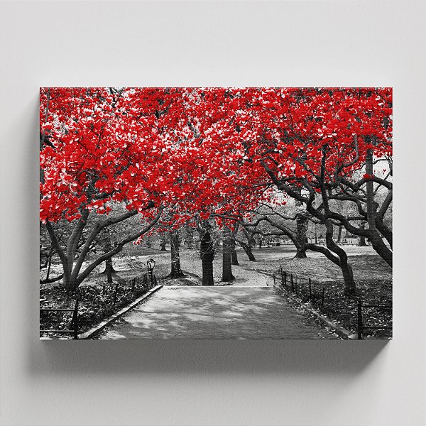 Quadro Canvas Ipês Vermelhos