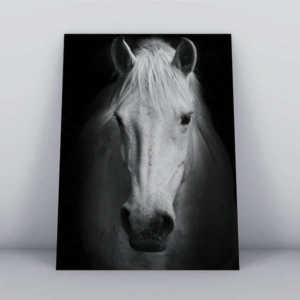Quadro Canvas  Cavalo Branco