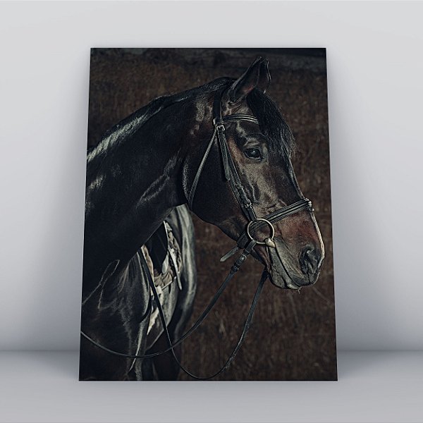 Quadro Canvas  Cavalo Preto