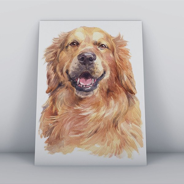 Quadro Canvas Cachorro Golden