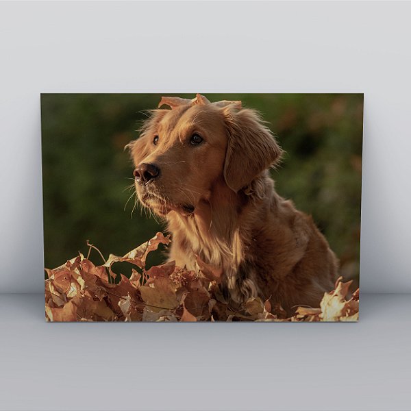Quadro Canvas Cachorro Outono