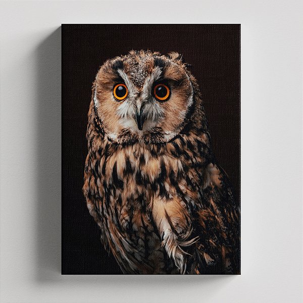 Quadro Canvas Coruja 02