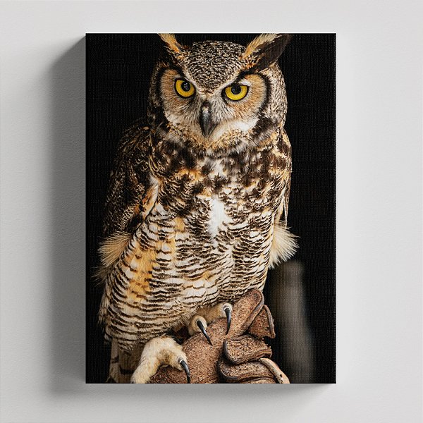 Quadro Canvas Coruja 01