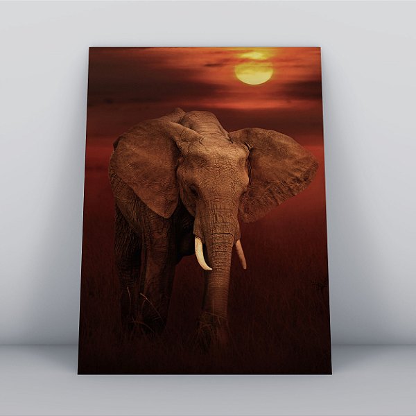 Quadro Canvas Elefante Presa Marfim