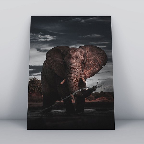 Quadro Canvas Elefante Dark
