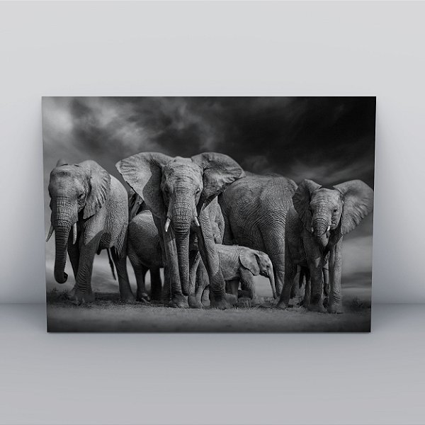 Quadro Canvas Manada de Elefante