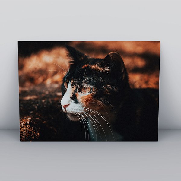 Quadro Canvas Gato (06)
