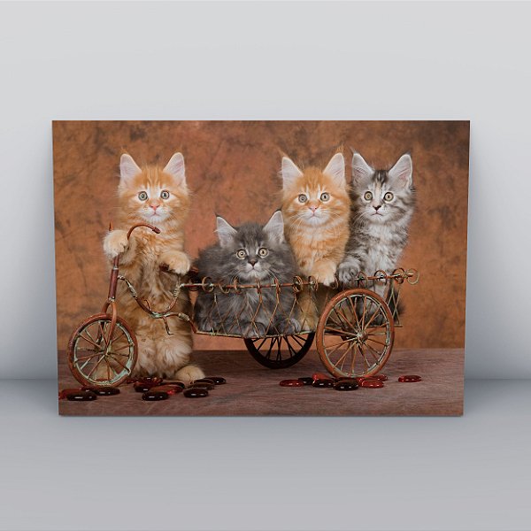 Quadro Canvas Conjunto Filhotes Gato