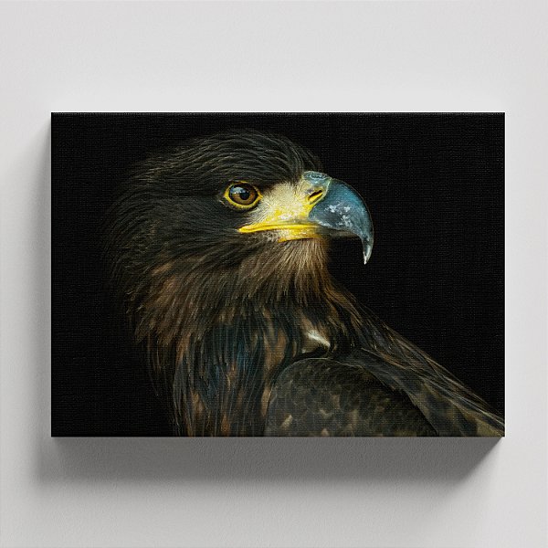 Quadro Canvas Ave de Rapina