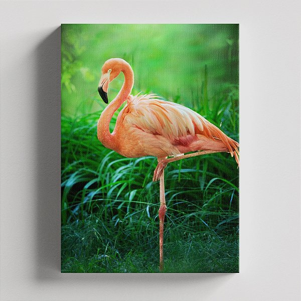 Quadro Canvas Flamingo