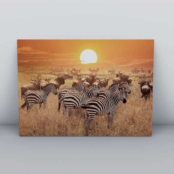 Quadro Canvas Manada de Zebras