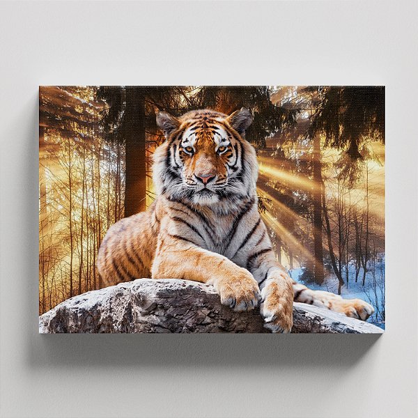 Quadro Canvas Tigre e Raios de Sol