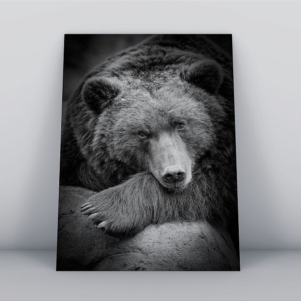 Quadro Canvas Urso Preguiçoso