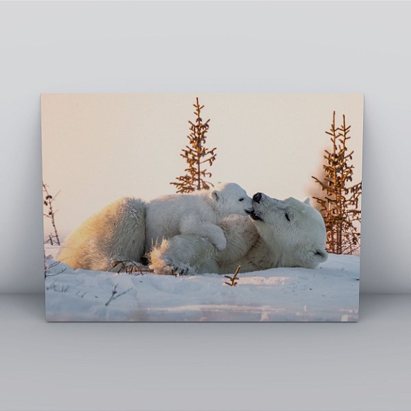 Quadro Canvas Urso Polar Familia