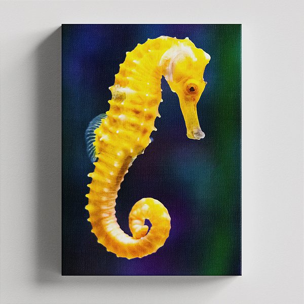 Quadro Canvas Cavalo Marinho