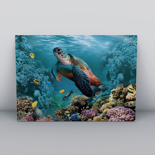 Quadro Canvas Tartaruga Marinha