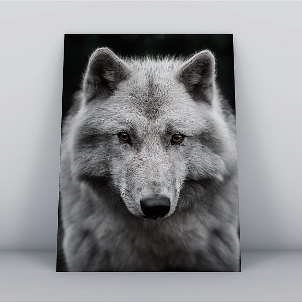 Quadro Canvas Lobo Branco