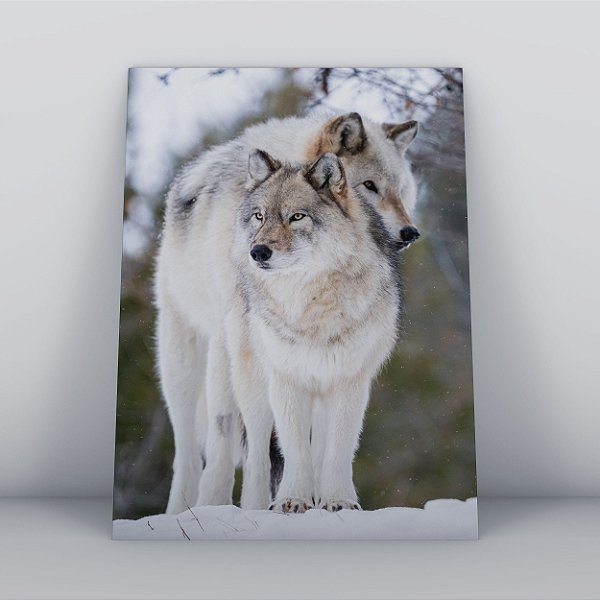 Quadro Canvas A Dulpla de Lobos