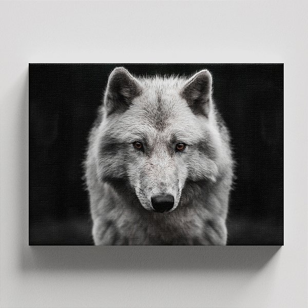 Quadro Canvas Lobo