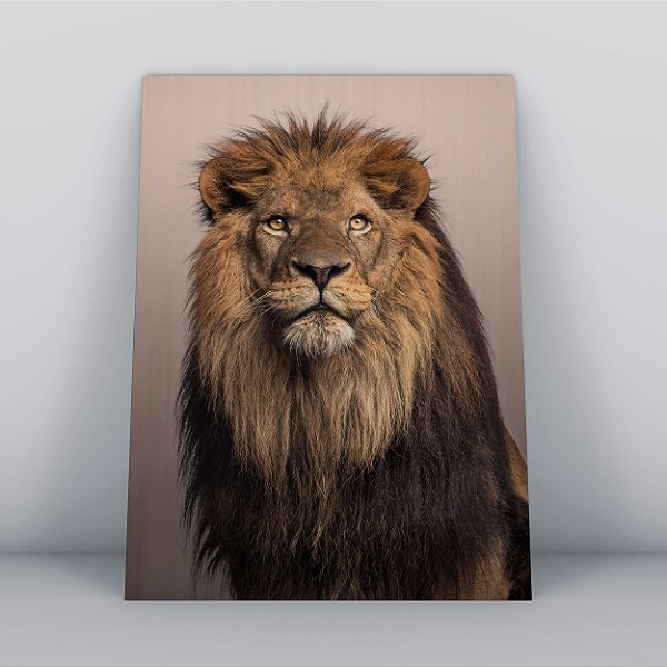 Quadro Canvas Leão