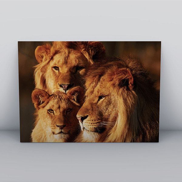 Quadro Canvas Leão Família
