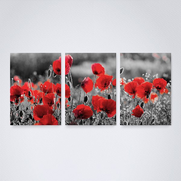 Trio Quadro Canvas Flores Vermelhas