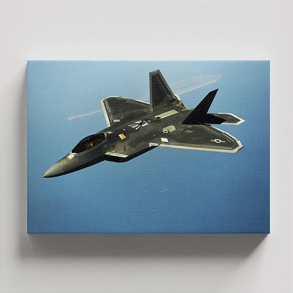 Quadro Canvas Avião F-22 Raptor