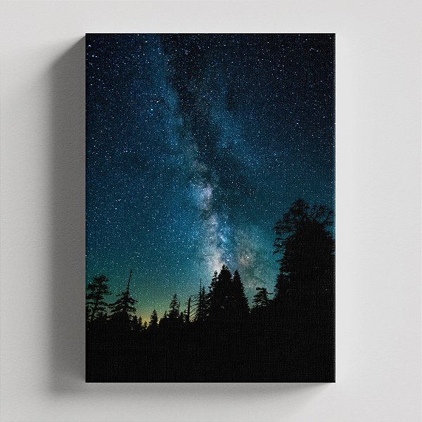 Quadro Canvas Noite Estrelada