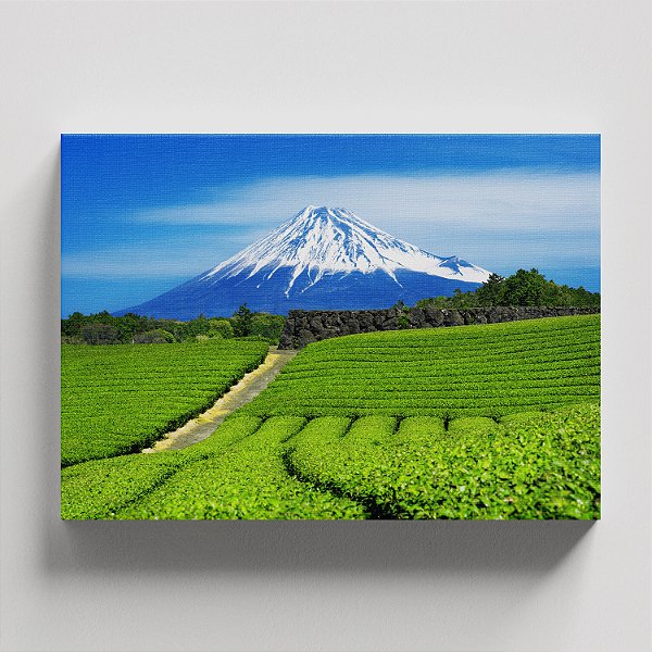 Quadro Canvas Plantação e Monte Fuji