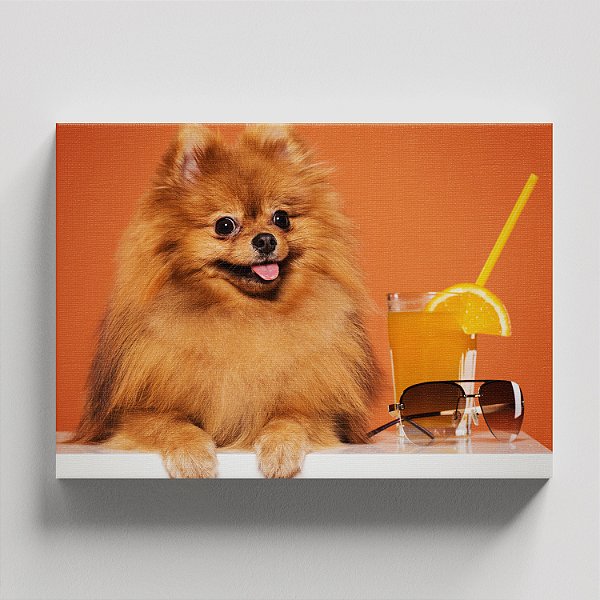 Quadro Canvas - Lulu-da-Pomerânia Verão