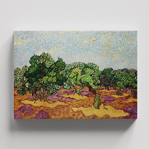 Quadro Canvas Olive Trees