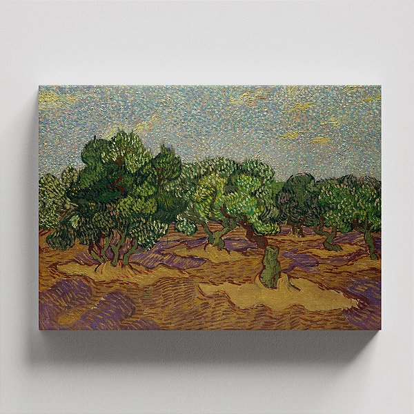 Quadro Canvas Olive Grove