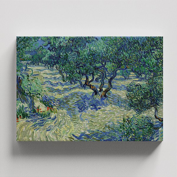 Quadro Canvas The Olive Trees
