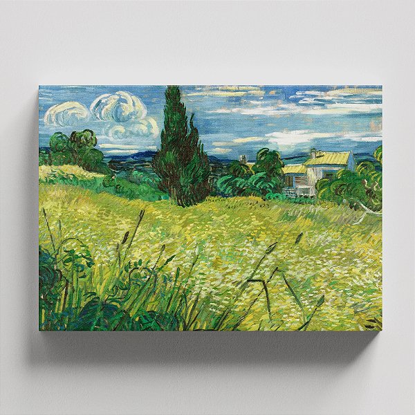 Quadro Canvas Green Wheat Field with Cypress