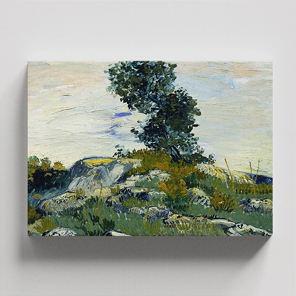 Quadro Canvas The Rocks
