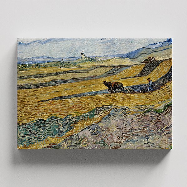 Quadro Canvas - The Fields