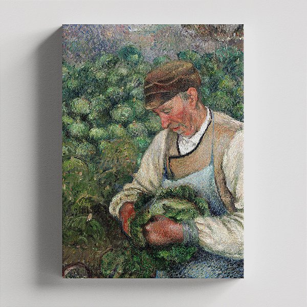 Quadro Canvas The Gardener - Old Peasant with Cabbage