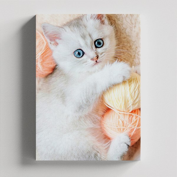 Quadro Canvas Gato Branco 30cmX45cm Borda Infinita CHASSI 2cm OUTLET