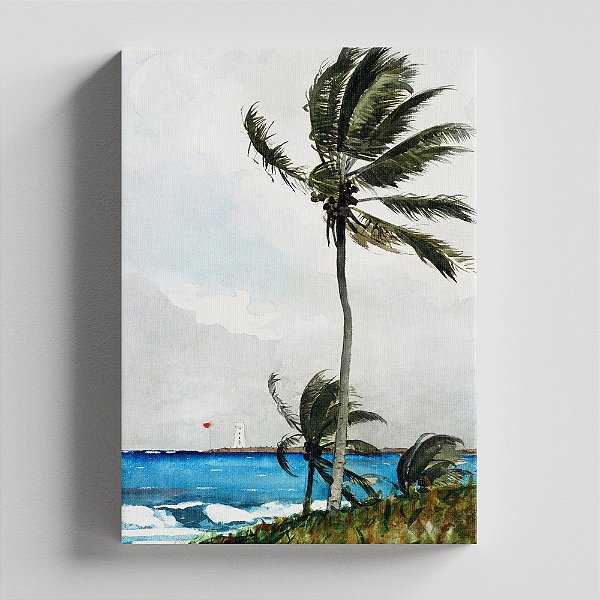Quadro Canvas Palm Tree, Nassau