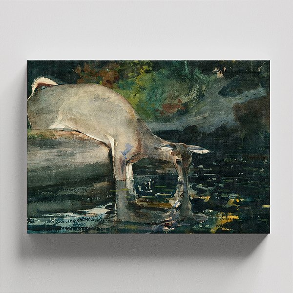 Quadro Canvas Deer Drinking