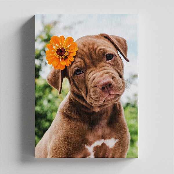Quadro Canvas Cachorro Filhote com Flor 091