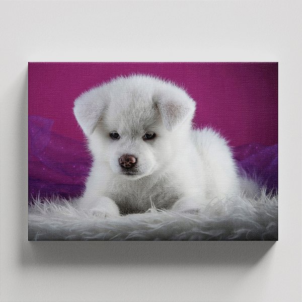 Quadro Canvas Cachorro Floquinho de Neve 30cmX45cm Borda Infinita CHASSI 2cm OUTLET