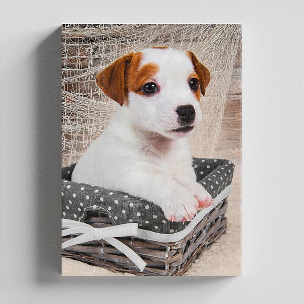 Quadro Canvas Cachorro Fofo Cesta 073