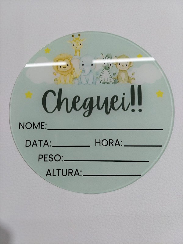 Placa Bebê - Dados Nascimento