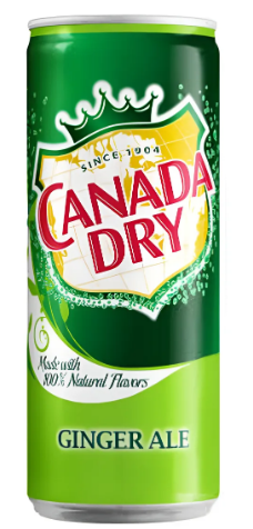 REFRIGERANTE CANADA DRY GINGER ALE 330ML - POLONIA