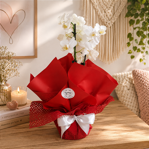 Orquídea para Presente